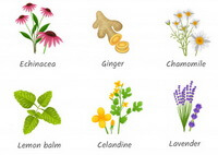 Does tcmwater.com supply herbs or herb recipes?