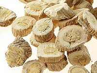 Isatis Root