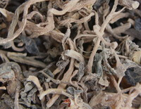 dried herb segments of Purslane Herb in a pile