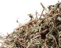 dried herb segments and pieces of Common Knotgrass Herb are piled together