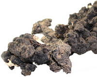 dried sclerotium of Polyporus umbellatus Pers Fr.