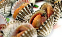 many cooked shellfishes of Arca granosa Linnaeus in a plate.
