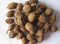 Fructus Amomi
