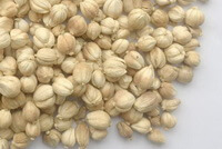 dried herb seeds of Semen Amomi Rotundus