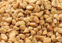 White Pharbitis Seed