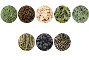 TCM Herbs Icon05