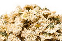 dried flower petals of Bo-Chrysanthemum,Bo Juhua