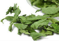 dried leaves of Peppermint