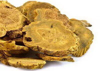 Radix et Rhizoma Rhei