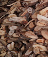 slices of Cassia Twig herb