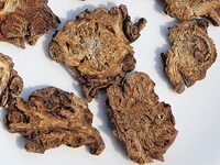 dried brownish herb slices of Notopterygium Rhizome