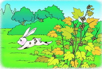 a drawing of a white rabbit and Xanthium sibiricum plant.