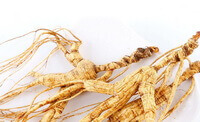 yellowish dried herbs of Radix Ginseng