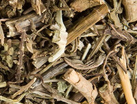 dried herb segments of Herba Verbenae
