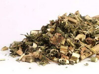 dried herb segments of Herba Leonuri