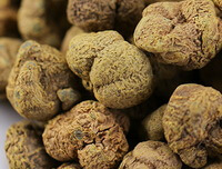 dried brownish herbs of Yanhusuo are piled together