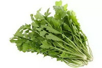 Herba Capsellae