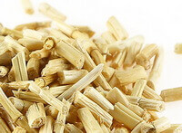 Lalang Grass Rhizome
