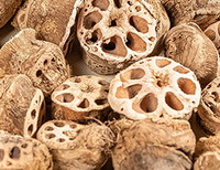 light brownish herb segments of Lotus Rhizome Node