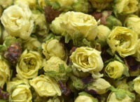 dried greenish yellow flowers of Plum Flower are piled together