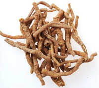 dried herb root tubes of Radix Polygalae