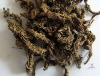 dried brown herbs of Rhizoma Valerianae