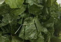 dried greenish prepared herb leaves of Epimedium brevicornum Maxim