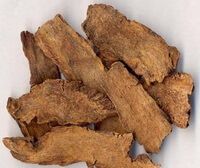 several brownish dried root slices of Songaria Cynomorium Herb are piled together