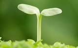 TCM Health Preservation