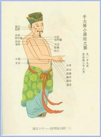 The Small Intestine Meridian Diagram