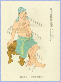 The Kidney Meridian Diagram