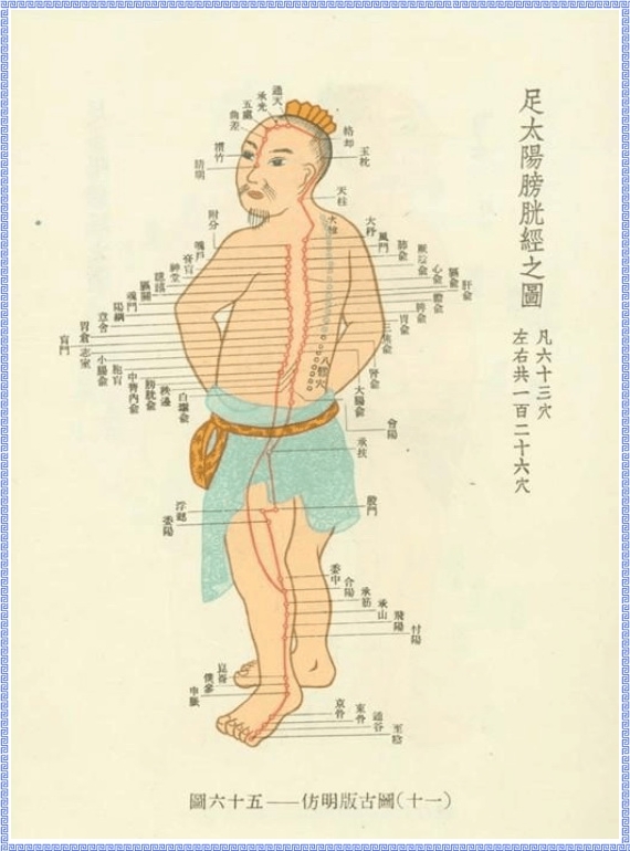 Diagram of Bladder Meridian of Foot Taiyang