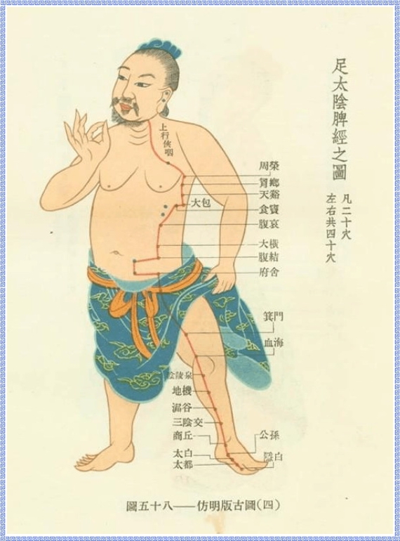 Diagram of Spleen Meridian of Foot Taiyin