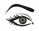 physiological feature eyebrow