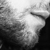 physiological feature whiskers