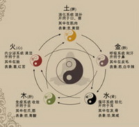 Zang-Fu Syndrome Differentiation