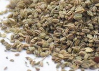 Celery Seed
