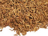 Caraway