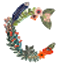 C