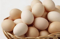 Introduction of Eggs