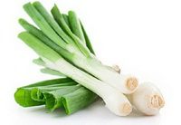 Welsh Onions Welsh Onions